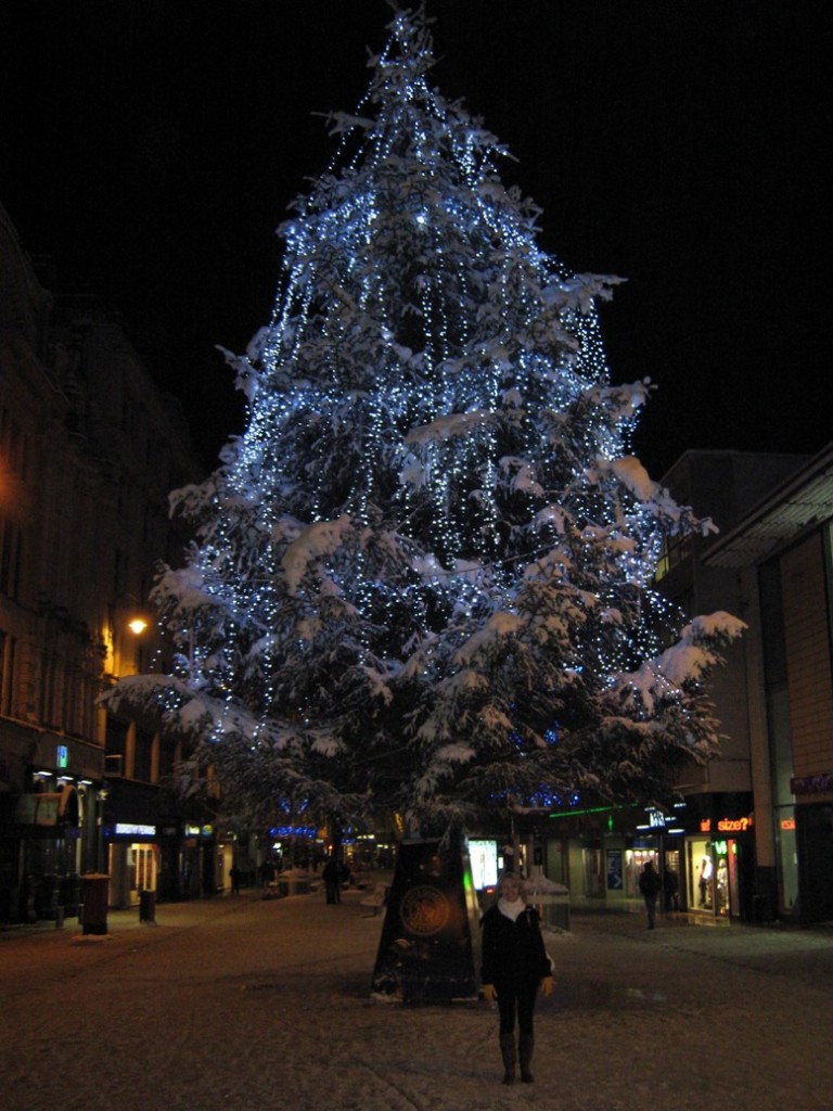 Christmas in Cardiff (2) - 2010
